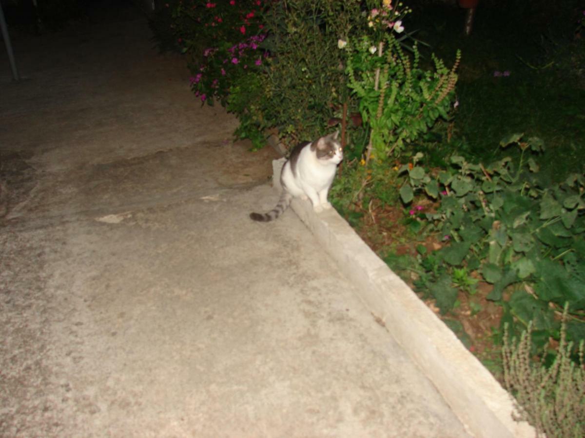 Filip 2 Hotel Biograd Na Moru Exterior foto